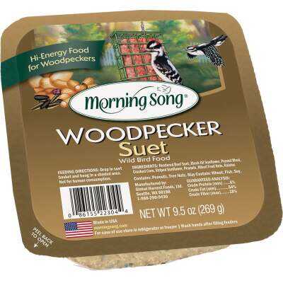 Morning Song 9.5 Oz. Woodpecker Suet